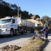 Yuyeral y basural: Operativo de limpieza en Campo Verde