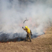 Riesgo Forestal: Se produjeron más de 30 incendios pequeños y medianos de pastizales