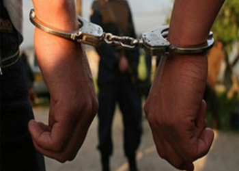 Doce detenidos para averiguación de antecedentes