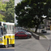 Dispusieron transporte gratuito para sufragantes