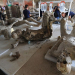 Científicos revelan que hay en el interior de las momias de pompeya
