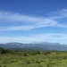 Prorrogan fecha para la presentación de Planes de Conservación de Bosques Nativos