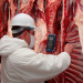 La UE volverá a comprar carne argentina del NOA