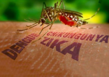 Trabajo de prevención "el mosquito es domiciliario, no de la zona rural"