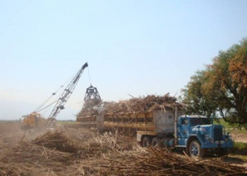 Preocupación en la Micro Región de San Pedro y La Esperanza por suspensión de programas productivos