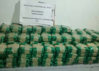 SE REALIZO EL SECUESTRO DE 40 KILOS DE HOJAS DE COCA