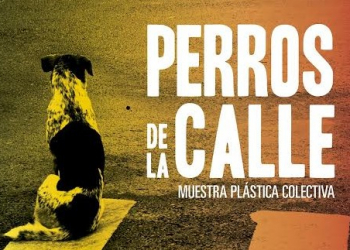 Continúa Muestra Colectiva “PERROS DE LA CALLE”