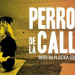 Continúa Muestra Colectiva “PERROS DE LA CALLE”
