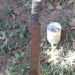 ARRESTADO Y SECUESTRO DE MACHETE