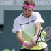 Del Potro consiguió una muy buena victoria ante Dimitrov