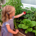 Las plantas realmente sienten cuando las tocamos?