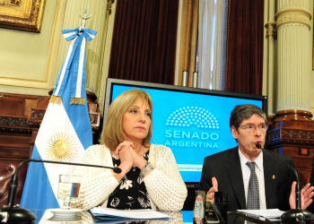 Intensa actividad en el Senado para discutir sobre los Medios