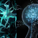 Reactivan el cerebro de un hombre en coma usando ultrasonidos