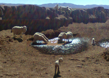 Preocupación por la extrema sequía en el norte de Jujuy