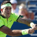 Del Potro debuta en Estocolmo frente a la "Torre" Isner