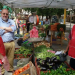 FFAVeM Cuyaya con nuevos productores