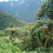 La belleza del Parque Nacional Baritu