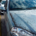 Mosquerío aterriza en el aeropuerto