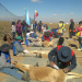 Satisfactorios “Chakus” en la Puna