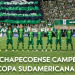 Chapecoense fue declarado campeón de la Copa Sudamericana
