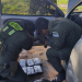 Gracias a "Toto" el can de gendarmería incautaron más de 6 kilos de cocaína