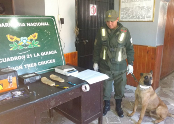 Detuvieron a tres hombres de nacionalidad boliviana que trasladaban estupefacientes a Jujuy
