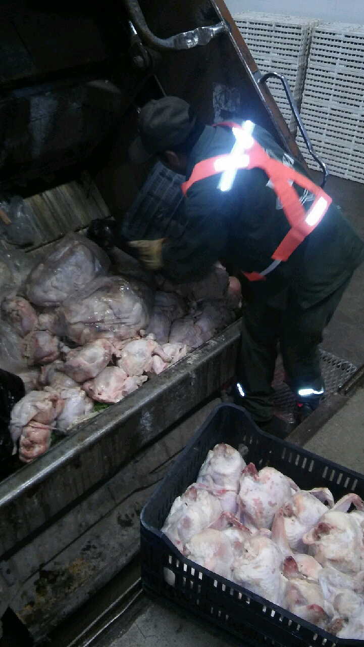 Seguridad Alimentaria: Decomisaron pollos en mal estado
