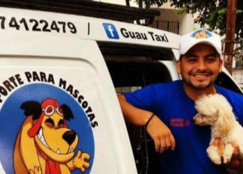 Guau Taxi es un servicio 24 hrs para transportar a las mascotas