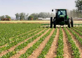 Morales otorgó créditos a tasa cero a productores agrícolas