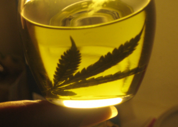 Legislatura: La Secretaria de Salud Mental realizó aportes para el proyecto sobre el uso medicinal de Cannabis