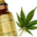 Uso medicinal del Cannabis: En Jujuy se trabajará en una adhesión provincial