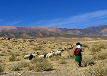 El gobierno prepara proyectos productivos para comunidades originarias