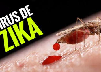 Primer caso de zika confirmado en Salta