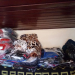 SECUESTRARON MERCADERIAS DE CONTRABANDO EN RUTA 34