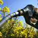 Las exportaciones de biodiesel crecieron 59% durante el primer cuatrimestre