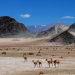 Puna Jujeña: la Mesa de Agua y el PISEAR anuncian proyectos de agua