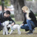 La app argentina que le busca hogar a las mascotas cuando sus dueños se van de viaje