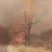 Ezequiel Morales: "Es normal la cantidad de incendios que se registran"