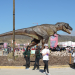 Tecnopolis Federal: Actividades para toda la familia