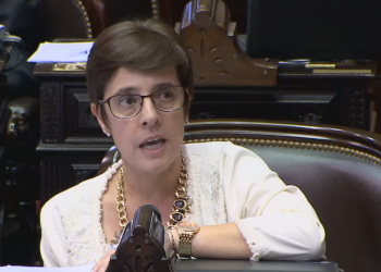 La diputada Gabriela Burgos se refirió a la denuncia de Greenpeace