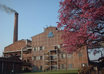 Ledesma-Gatti: "Queremos separar la paja del trigo y que actúe la justicia"