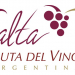 Los vinos de Salta, más lindos que nunca