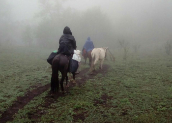 Dos maestras tucumanas hicieron 12 horas a caballo para tomar las pruebas "Aprender"