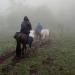 Dos maestras tucumanas hicieron 12 horas a caballo para tomar las pruebas "Aprender"