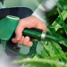 Si el Gobierno cambia el precio del biocombustible podrían subir las naftas