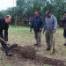 El Municipio junto al Colegio de Arquitectos: Lapachos embellecerán Ciudad Cultural