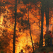 Incendio forestal en California suma unos 200.000 evacuados y 26.000 hectáreas quemadas