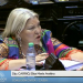 Reforma Jubilatoria: se levantó la sesión a pedido de Carrió