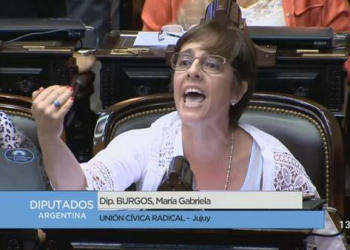 Reforma jubilatoria:  para Gabriela Burgos, si hubo quorum