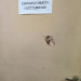 Autorización municipal a vendedores ambulantes: Incidente y atropello